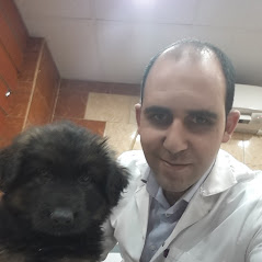 عيادة ايجى فيت البيطرية