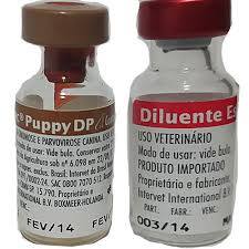 عيادة ايجى فيت البيطرية | التطعيم الثنائي للكلاب