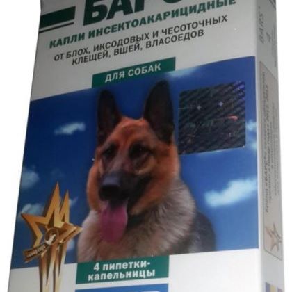 عيادة ايجى فيت البيطرية | امبولات بارس للحشرات للكلاب