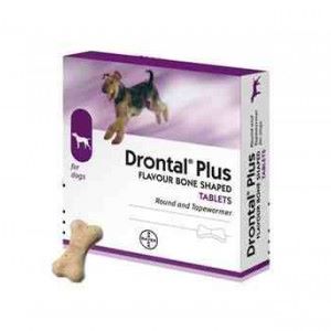 عيادة ايجى فيت البيطرية | دورنتال