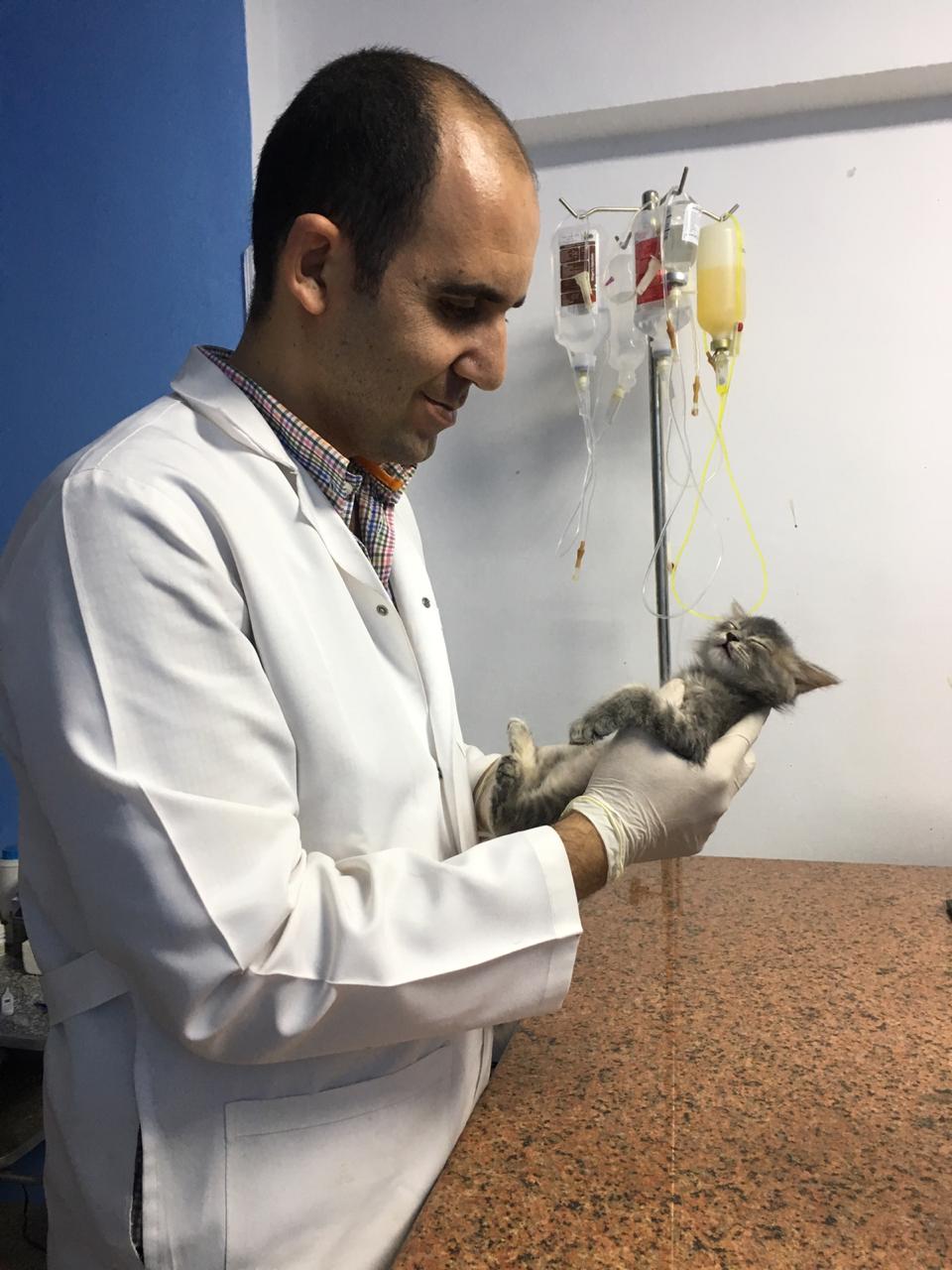 عيادة ايجى فيت البيطرية