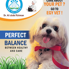 عيادة ايجى فيت البيطرية