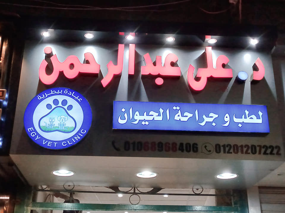 عيادة ايجى فيت البيطرية
