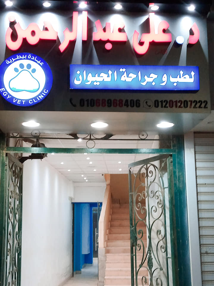 داء الكلب ( السعار ) Rabies