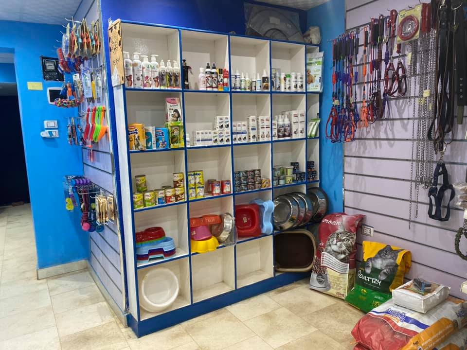 عيادة ايجى فيت البيطرية